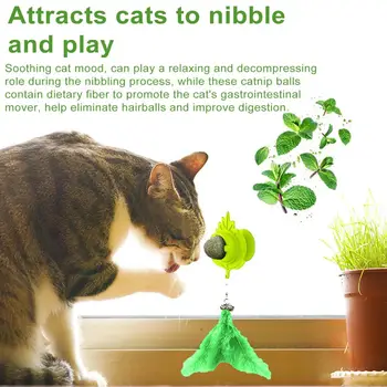 Cat Catnip Toy Suction Cup Design Cat Catnip Ball Safe Dental Care Chew Toy With Feather Pet Supplies