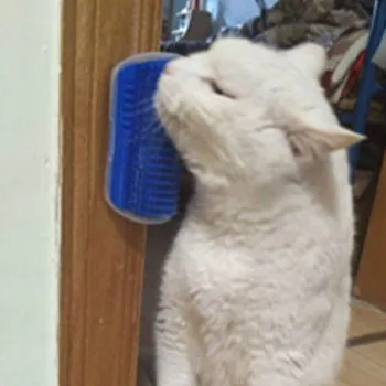 Четка за домашни любимци гребен игра котка играчка котка ъгъл самостоятелно фризьор масаж гребен с коча билка котка лицето драскане за коте кученце котка аксесоари